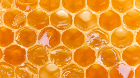 Can You Eat Honeycomb? - Ames Farm Single Source Honey