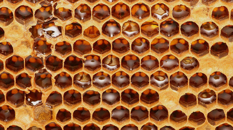 How are Beeswax Candles Made? - Ames Farm Single Source Honey