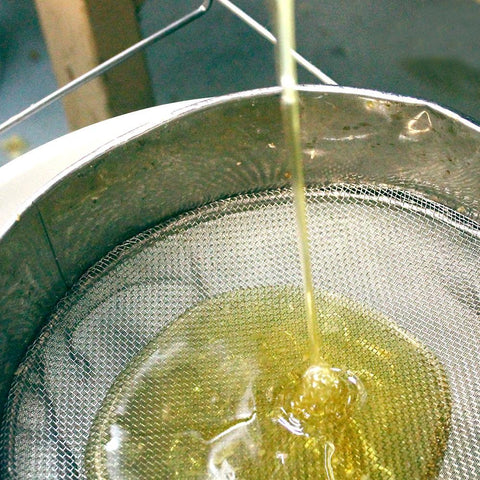 Netflix Series "Rotten" Got Us Buzzin' - Ames Farm Single Source Honey