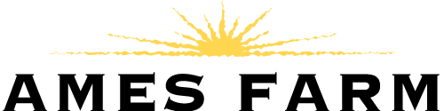Ames Farm Single Source Honey