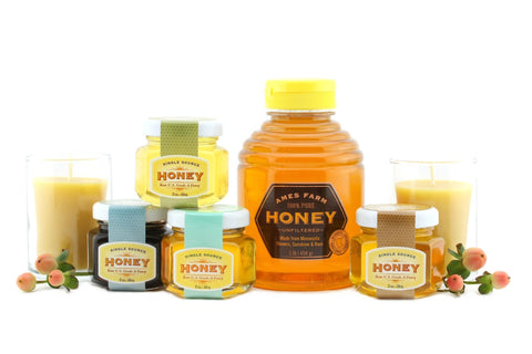 Bee Gifts | Honey Bee Gifts |  Honey Sampler