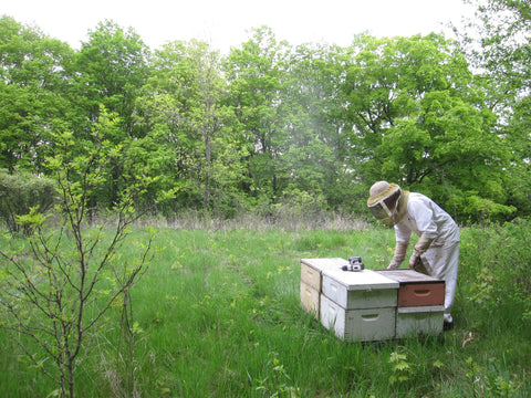 Spring 2022 Beekeeping Class & Nucleus Hive Bundle - Ames Farm Single Source Honey
