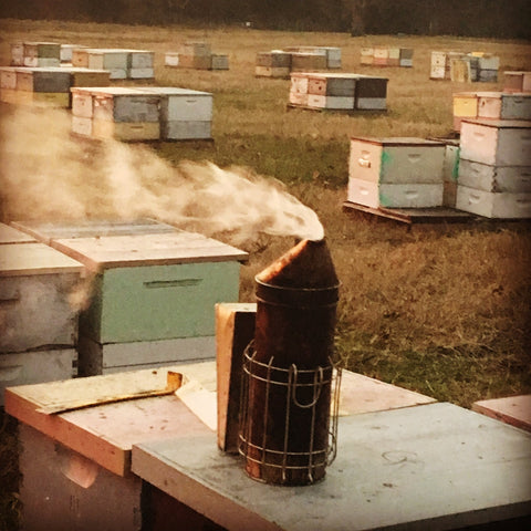 The story behind our Single Source Honey process - Ames Farm Single Source Honey