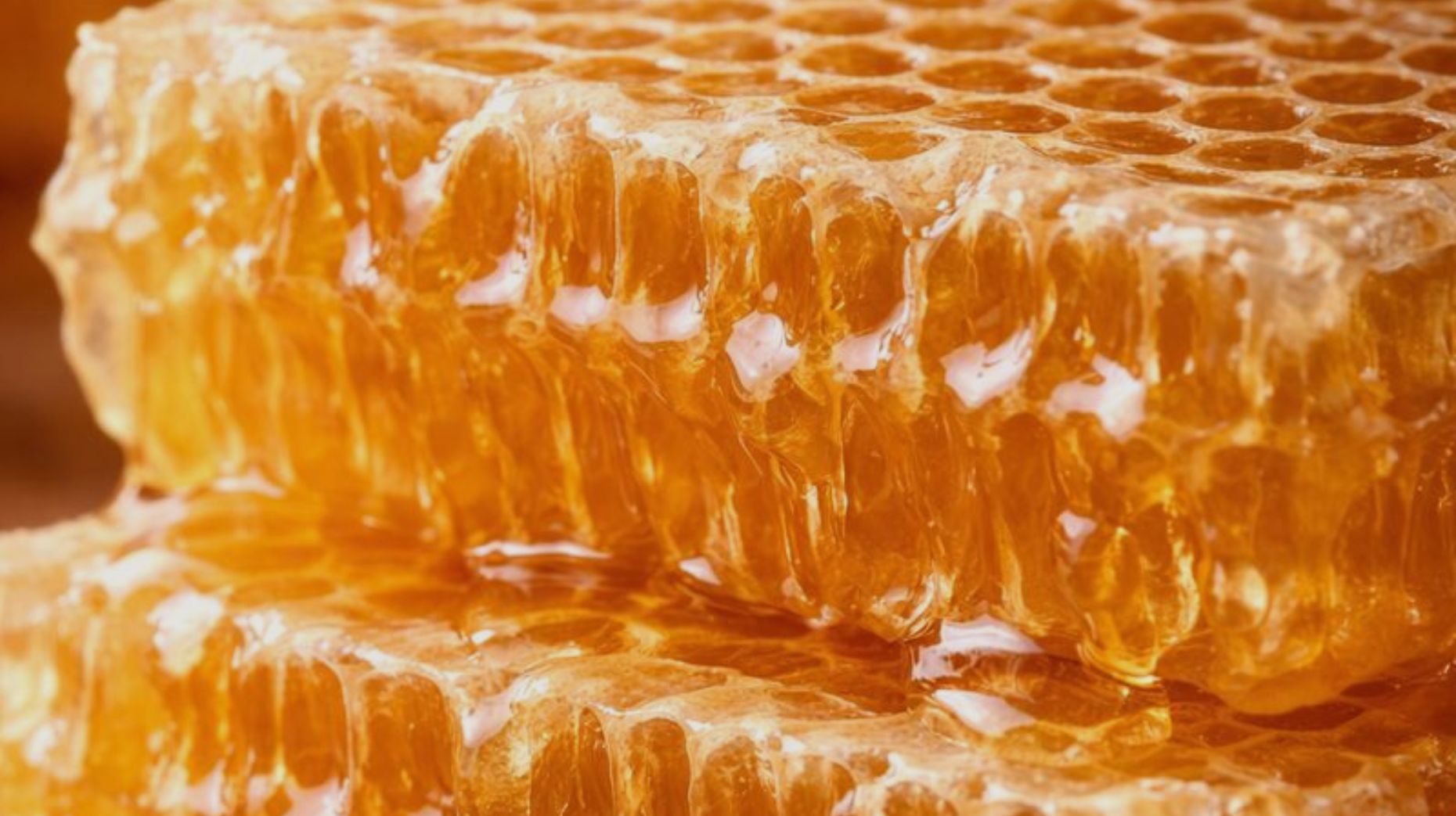 What Exactly Is Honeycomb? (And How Bees Make It) - Ames Farm Single ...