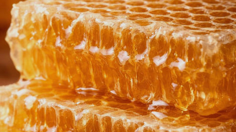 What Exactly Is Honeycomb? (And How Bees Make It) - Ames Farm Single Source Honey