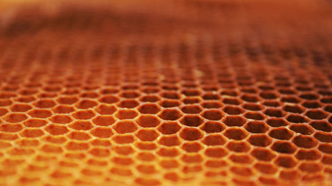 What is Honeycomb? - Ames Farm Single Source Honey