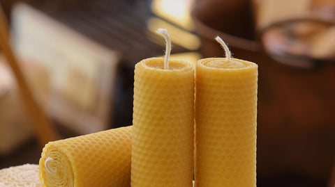 Where to Buy Beeswasx Candles - Ames Farm Single Source Honey
