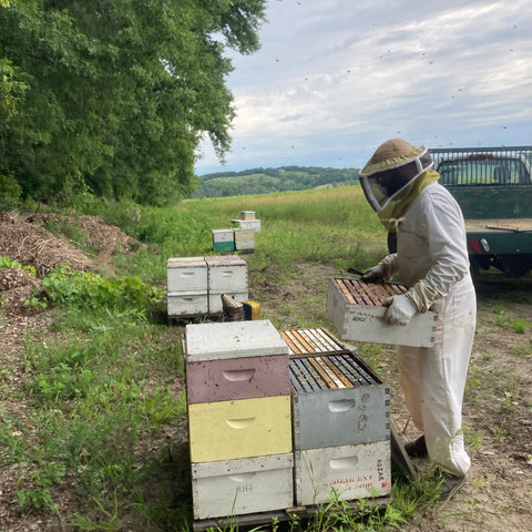 Beekeeping Class Minnesota April 2024