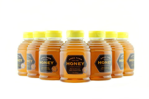 Pure Honey - 1.0lb Squeeze Bottle cs/12 - Ames Farm Single Source Honey