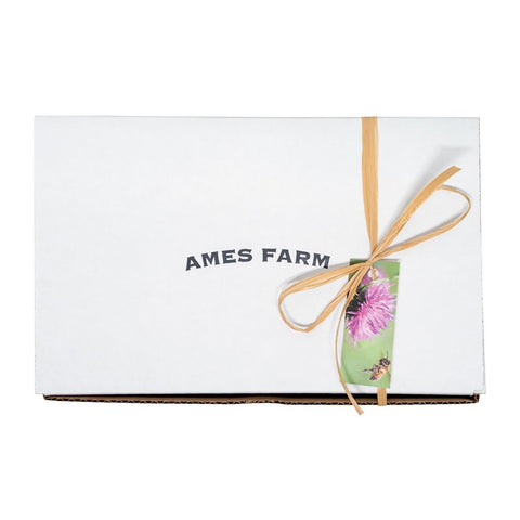 Sweet Indulgence A Traditional Honey Gift Collection - Ames Farm Single Source Honey
